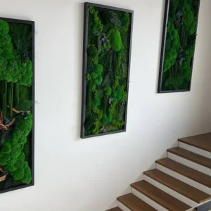 Sada 3 mechových obrazů: kuličkový mech – džunglový vodopád