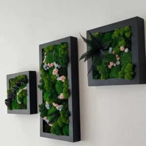 Sada obrazů: květinové mechové trio s rámem