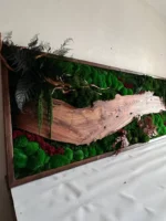 Mechový obraz s dřevem – ořechový lesní krajina