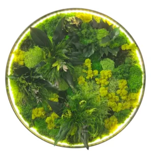 Kulatý LED mechový obraz „Džunglová aura“