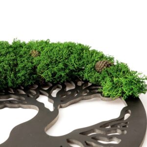 Moosbilder: Baum mit Zapfen und Islandmoos | Moosbaum