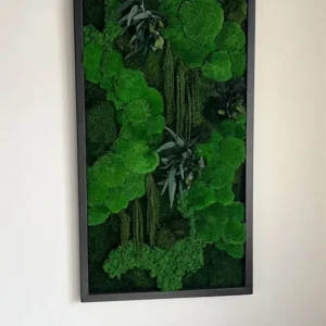 Mechový obraz: Kopečkový mech Džunglová kaskáda – rostlinná edice