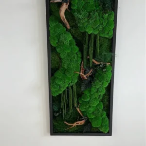 Mechový obraz: Kopečkový mech Džunglová kaskáda