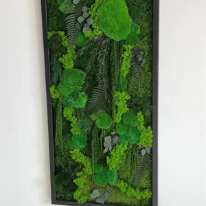 Mechový obraz: Kopečkový mech Džunglová kaskáda – rostlinná edice