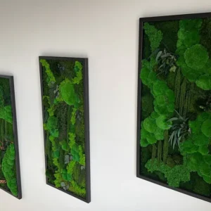 Mechový obraz „Kuličkový mech Džunglová kaskáda“ – rostlinná edice