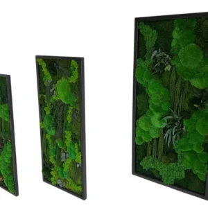 Mechový obraz „Džunglová kaskáda“ – rostlinná edice