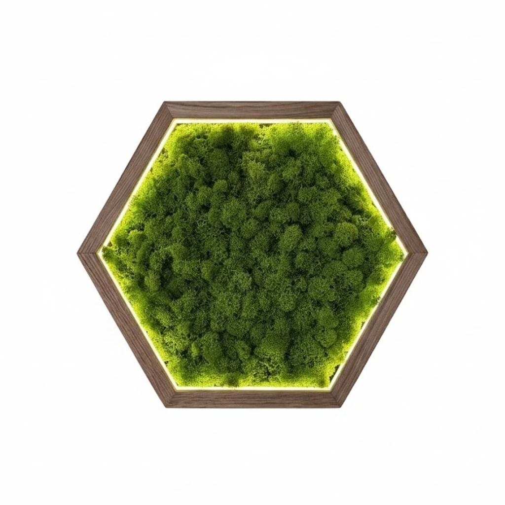 Hexagon LED Wandbild aus Islandmoos (2)_result Hexagonální LED obraz z islandského mechu