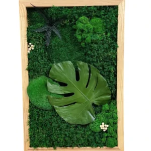 Obraz Monstera z mechu a rostlin s listem Monstera v dřevěném rámu.