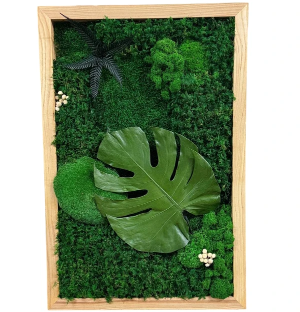Monstera-Wandbild-mit-echtem-Moos_result Obraz Monstera z mechu a rostlin s listem Monstera v dřevěném rámu.