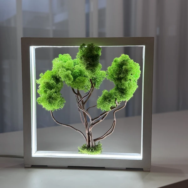Moosbild-mit-LED-–-Dekobaum-im-Holzrahmen Osvětlený mechový bonsaj s LED – ručně vyrobený dekorační strom z konzervovaného islandského mechu v dřevěném rámu