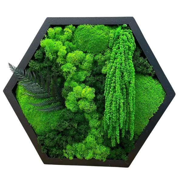 Moos-Hexagon-Wald-Design-mit-Farn_result Hexagonální rostlinný obraz s konzervovaným mechem a kapradím v jednoduchém rámu.